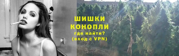 ГАЛЛЮЦИНОГЕННЫЕ ГРИБЫ Костерёво