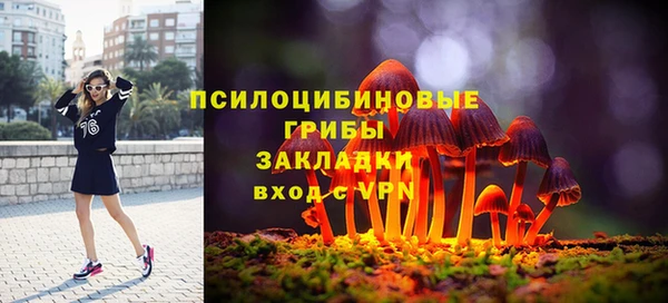 mdma Краснослободск